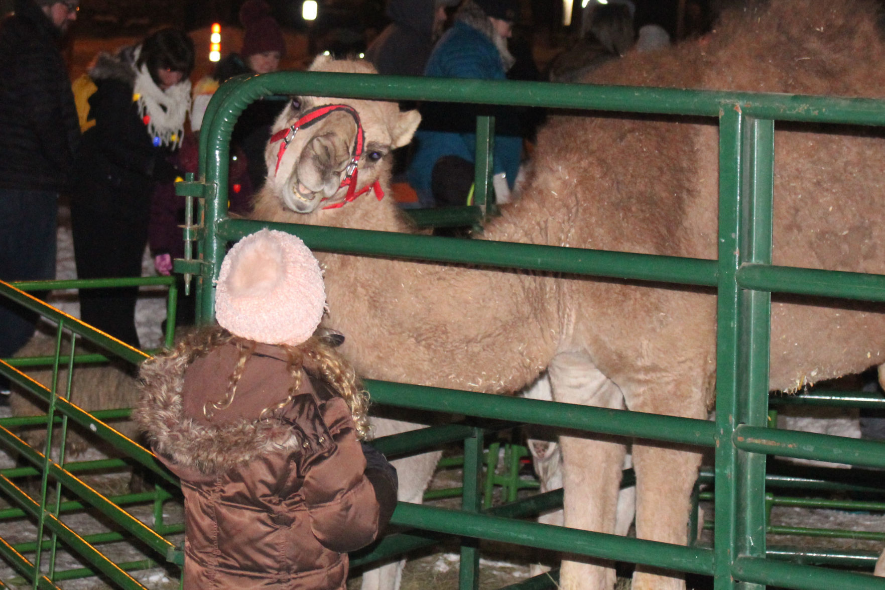 Menomonie WinterDaze Parade 12-12-19